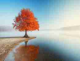 定‌制‌AI识‍别‌脚​本‌